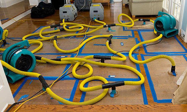 Professional Structural Drying And Dehumidification technician working in Sebring, FL